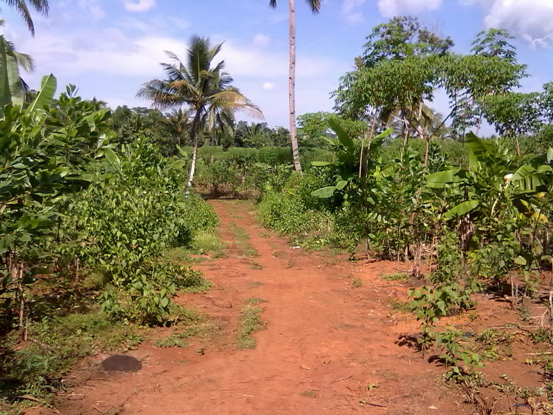 Jalan Reuma Panjan Pa Uceh